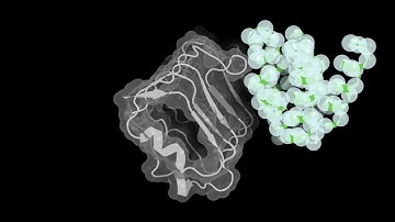 Accelerating Protein Structure Inference