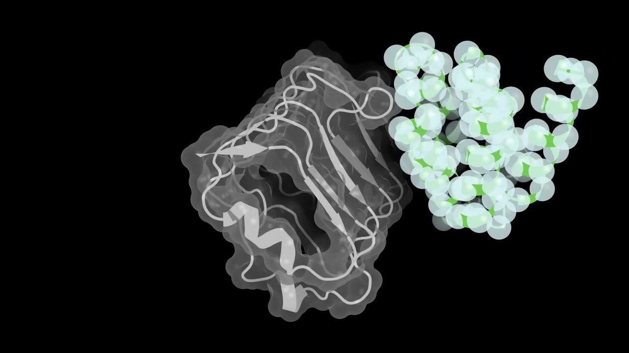 Accelerating Protein Structure Inference
