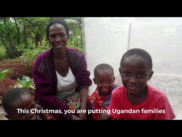Christmas Appeal Update from Amanda