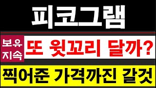 피코그램, 갈 종목은 간다. #피코그램주가전망