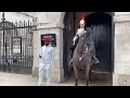 #LIVE at #Horseguardsparade #LONDON