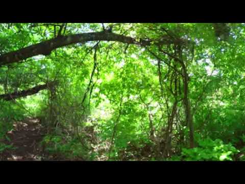 [360°] Área Natural Protegida La Magdalena, sector Galeano
