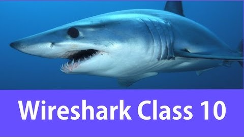 Wireshark Certified Network Analyst Class #10