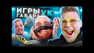 Игры Габара! Пятеро смелых и их границы! Экстремальное шоу!