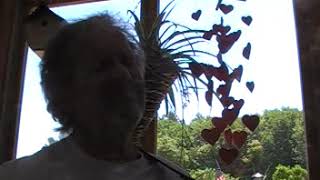 178Song:"VictoryInJESUS""ButThanksBeToGodWhoGivesUsTheVictory ThroughOurLordJESUSCHRIST"BeSteadfast-