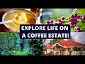 LIFE ON A COFFEE ESTATE IN KARNATAKA | Coffee, From Bean To Cup |Five Generations Of A Coffee Family