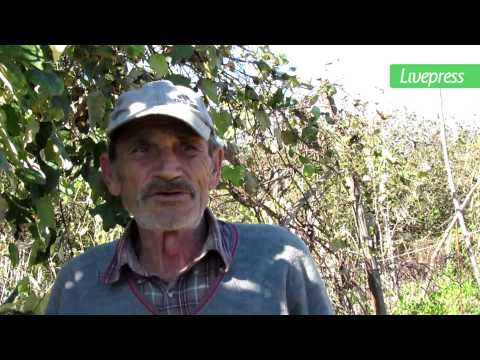 სოფელი ხურჩა