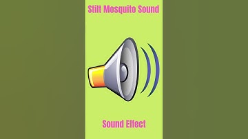 Thumbnail of Stilt Mosquito Sound - Sound Effect