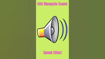 Stilt Mosquito Sound Sound Effect 