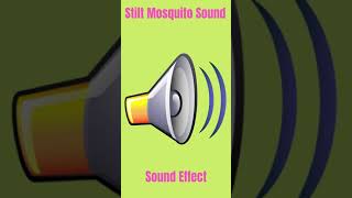 Stilt Mosquito Sound - Sound Effect