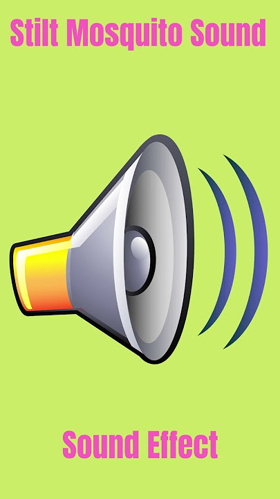Stilt Mosquito Sound - Sound Effect