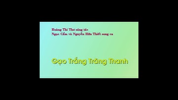 Ngọc Cẩm Và Nguyễn Hữu Thiết Hát Gạo Trắng Trăng Thanh Của Hoàng Thi Thơ