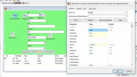 EMBERCADERO DELPHI SQL SERVER BAGLANTISI