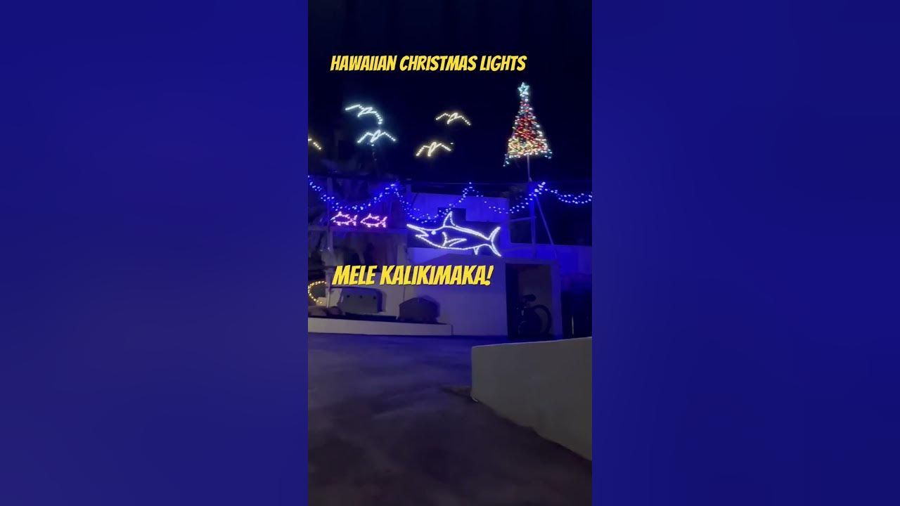 what-do-hawaiians-do-for-christmas-lights-christmas-lightshow-youtube