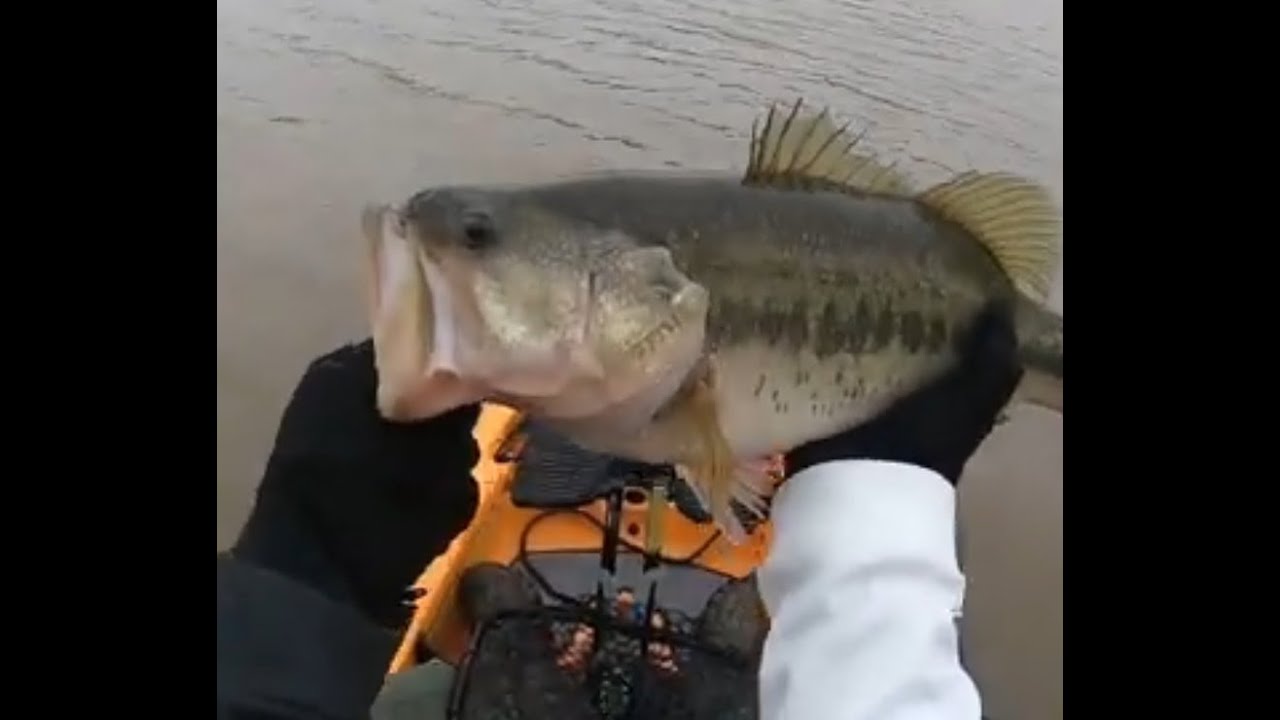 KAYAK BASS FISHING - Lake Acworth GA. - YouTube