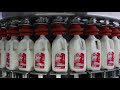 Campaña de Leche Fresca Suiza 2020-2021