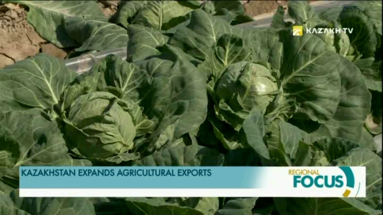 KAZAKHSTAN EXPANDS AGRICULTURAL EXPORTS - YouTube