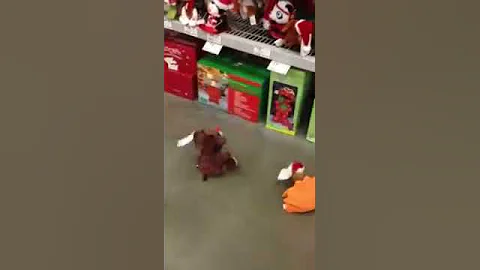 Heather @ Lowes