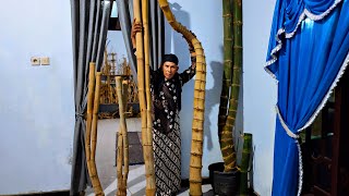 PAK TEK DAPAT BAMBU PETUK JALU PUNCAK DAN MELIHAT KOLEKSI BAMBU BAMBU UNIK