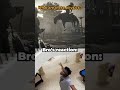 phyisics broken