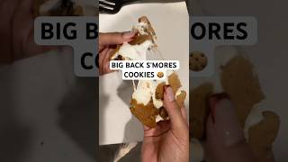 Air Fryer S'mores Cookies - Easy & Delicious!