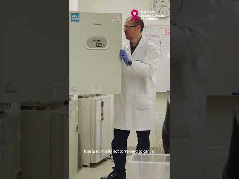 Meet the Researcher