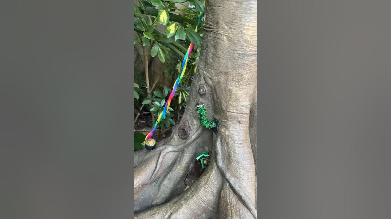 st patricks day at disneyland