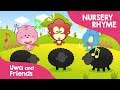 Youtube Baa Baa black sheep Nursery rhymes