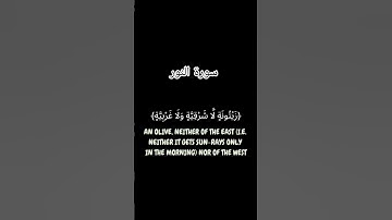 قرآن كريم  خلفية سوداء - الله نور السموات والأرض  #خلفية_قرآن #كروما_سوداء #اكسبلور #لايك