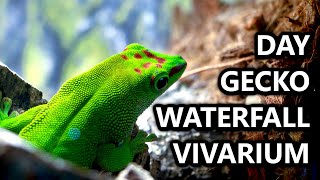 Giant Day Gecko Waterfall Vivarium Build
