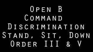 Open B - Command Discrimination #3 & #5 (3)
