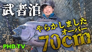 石鯛釣り・・・銀ワサ70センチオーバーやっても～た‼