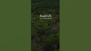 وما خلقت الجن والإنس إلا ليعبدون سورة الذاريات القارئ سعود الشريم أية ٥٦ - ٦٠