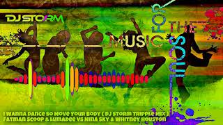 Fatman Scoop & Lumadee Vs Nina Sky & Whitney Houston - I Wanna Dance So Move Your Body