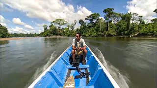 Suriname, in the Heart of Endless Forests