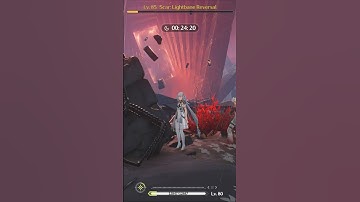 Wuthering Waves Depths of Illusive Realm Bug