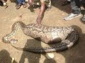 AFARIKI Kwa Njia Za KICHAWI AFARIKI Kwa Njia Za KICHAWI