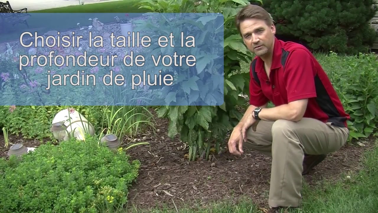 Concevoir votre jardin de pluie