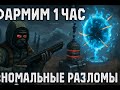 ФАРМ НА АНОМАЛЬНЫХ РАЗЛОМАХ СКОЛЬКО ВСЕГО ЗАРАБОТАЛ? ВЫГОДНО ИЛИ НЕТ?