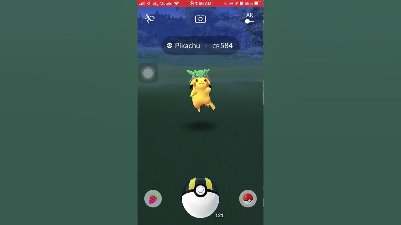 buddy catch assist Hoenn Pikachu wearing Rayquaza hat [excellent