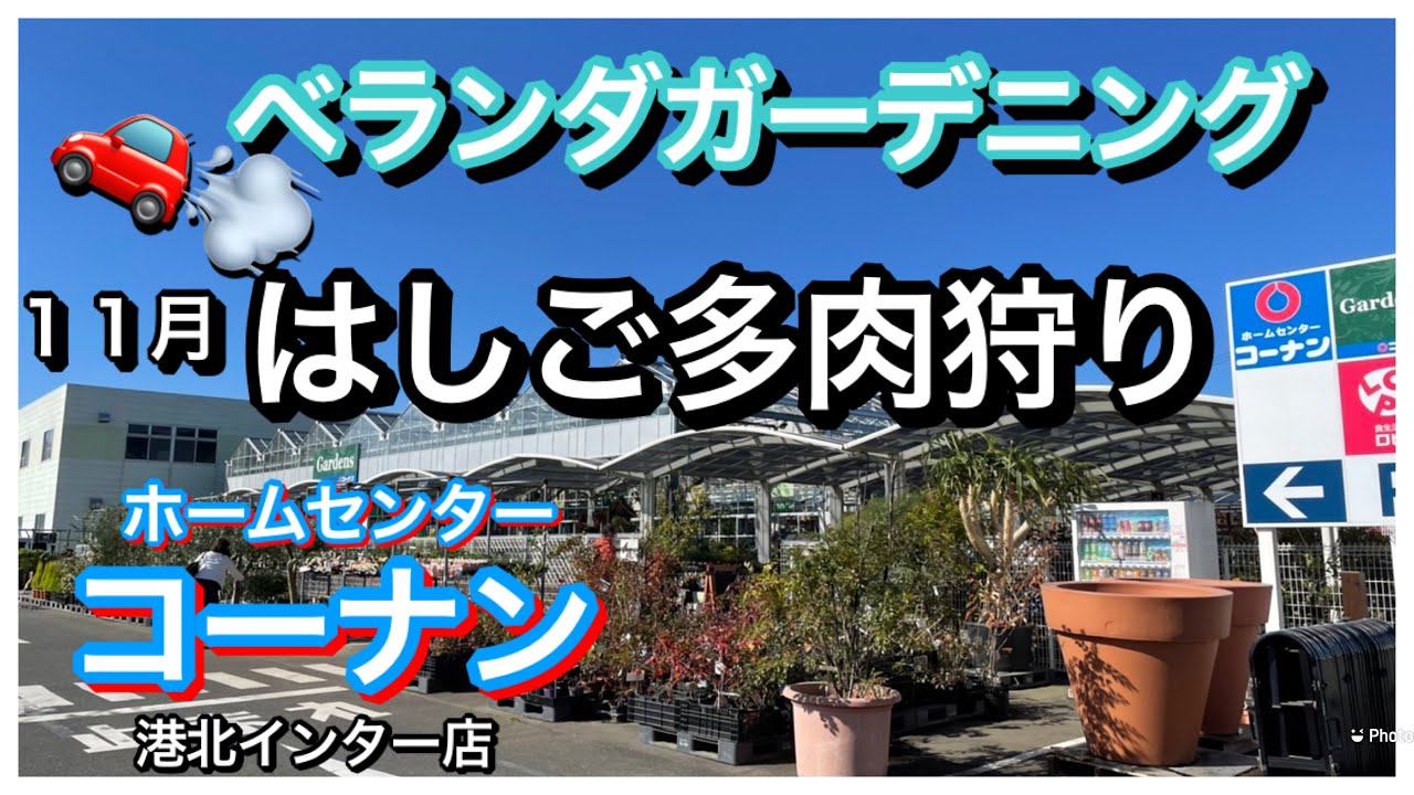 9階以上の ベランダガーデニング コーナンホームセンターで多肉狩り 多肉永遠さん Youtube