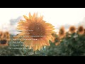 【絶景映像とおしゃれな洋楽BGM #09】夏を感じる風景・自然 | Relaxing video and music