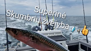 Žvejybinis video. Skumbrių žvejyba Baltijos jūroje. Liuks kibimas👍