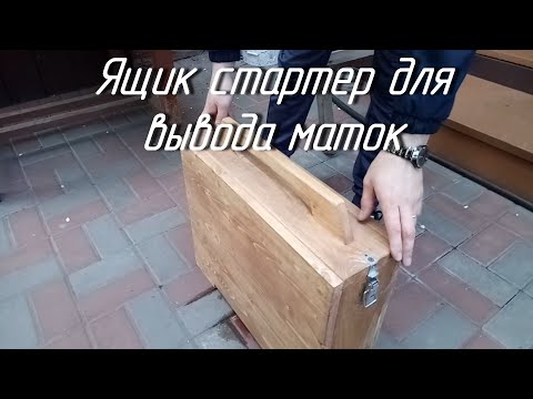 Ящик стартер для вывода маток