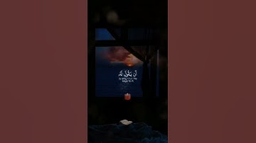 #محمد_صديق_المنشاوي #قران_كريم #تلاوات #القرآن_الكريم #quran #تلاوة #قرآن #القرآن #تلاوة_خاشعة #آيات