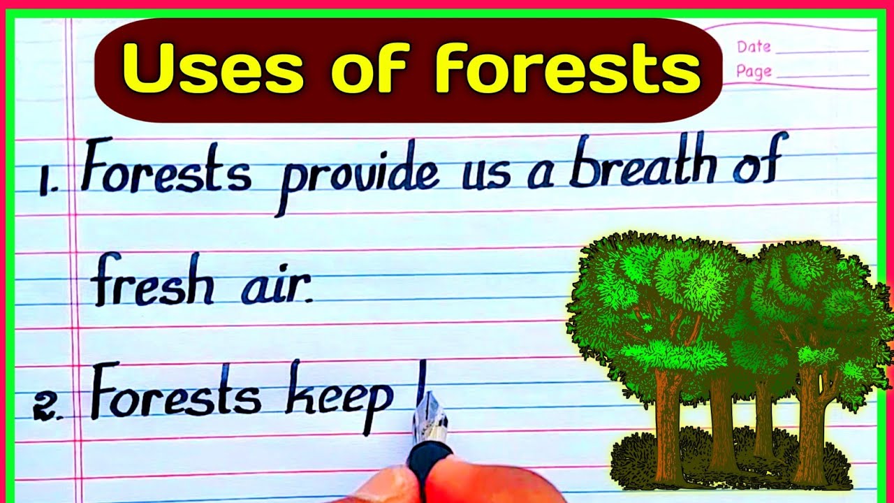 essay writing on uses of forest