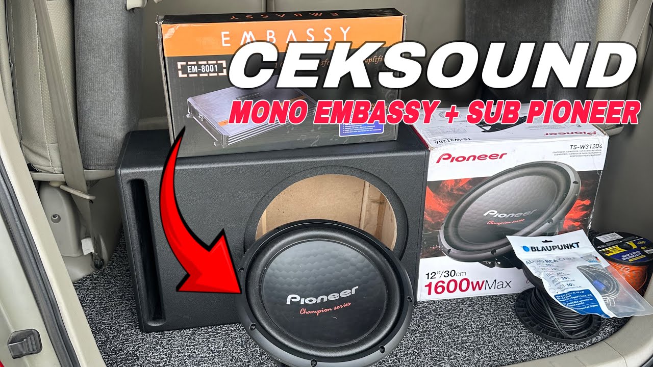 TESS  PIONEER TSW12 D4 // SEPERTI INI SUARANYA