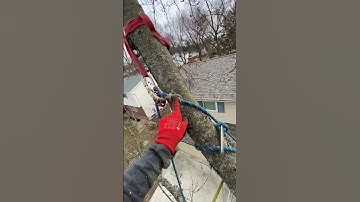 Solo Rigging Ideas 💡