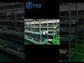 Display Module Burn In Test Factory Quality Control