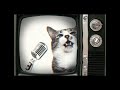 Lose Yourself Cute Cover Eminem Lose Yourself Cute Cover Eminem
